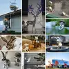 Animal sculptures