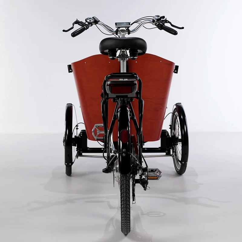 Cheap Wheel Electric Tricycle Cargo Bike Price/cargobike Factory/kids  Cargo Tricycle Bicycle