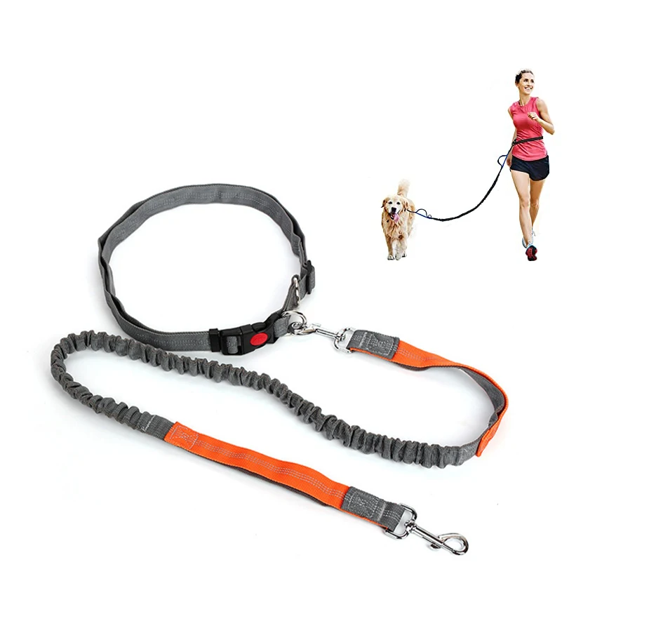 elastic dog leash
