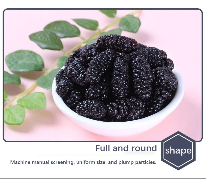 Fully Dried Mulberries Natural Sweet Taste Wholesale Sale of Mature Mulberries Preserved with Syrup Process for Consumption
