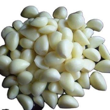 Зубчики чеснока высокого качества оптом Замороженные Свежие производители чеснока