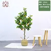 Limón de 120 cm