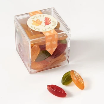 Wholesale Custom Storage Clear Store or Wedding Party Favors Acrylic Candy Box with Lid