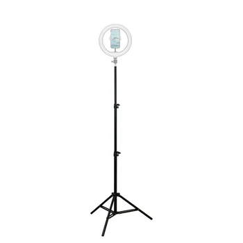 E024 1.6M Portable Photo Studio Stand Tripod With 1/4" Screw for Camera Video Ring Light Mobile Phone detail image