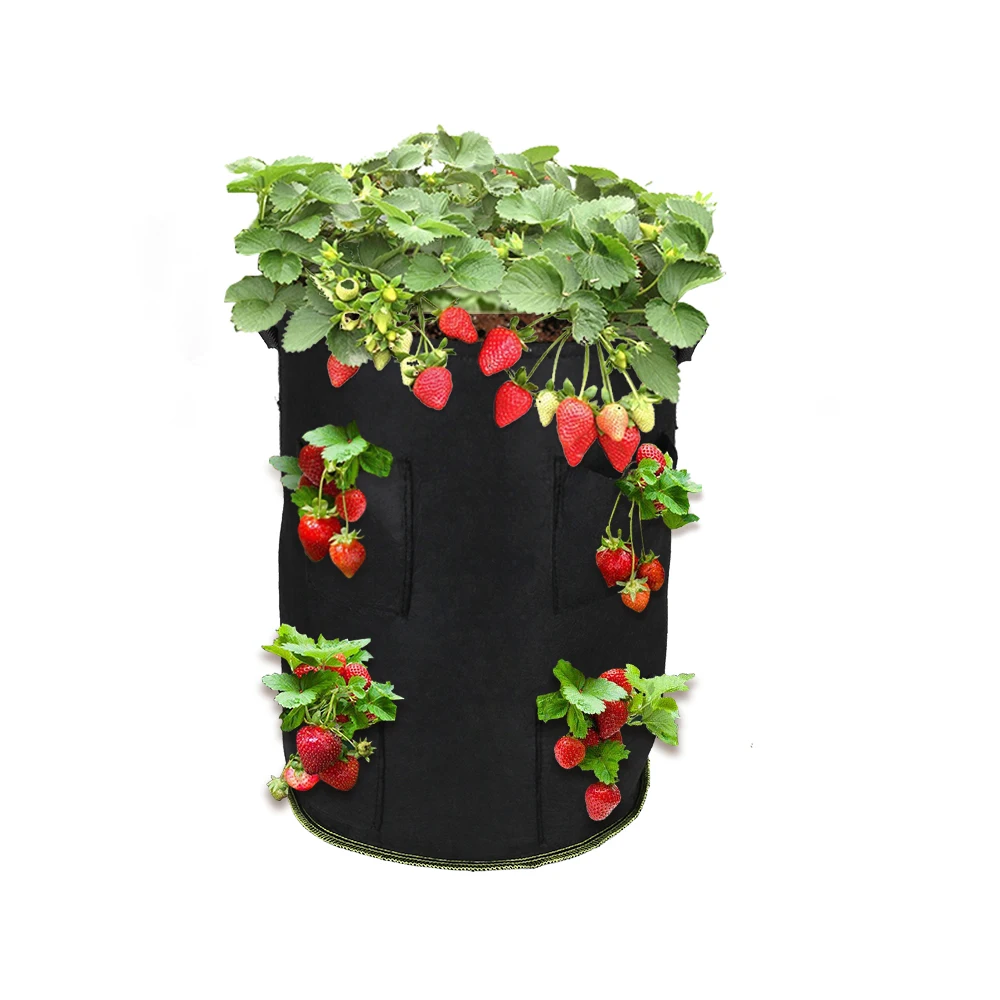 1加仑草莓蘑菇土豆可可花园植物袋苗圃塑料毛毡面料黑色种植袋 Buy 黑色种植袋 植物苗圃袋种植袋塑料 种植袋植物袋product On Alibaba Com