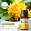 Aceite de Osmanthus fragrans
