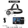 BL-T40 Silver