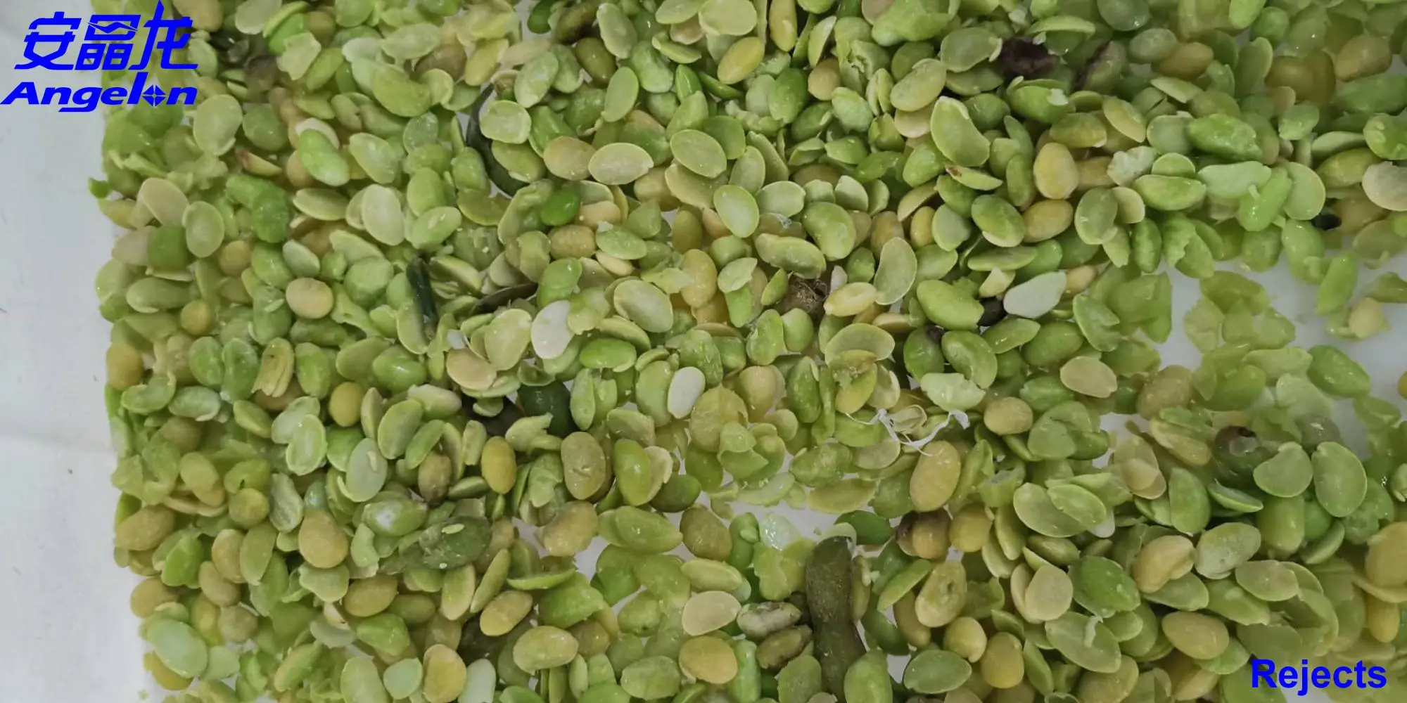 Coffee Beans Sorter Color Sorting Machine