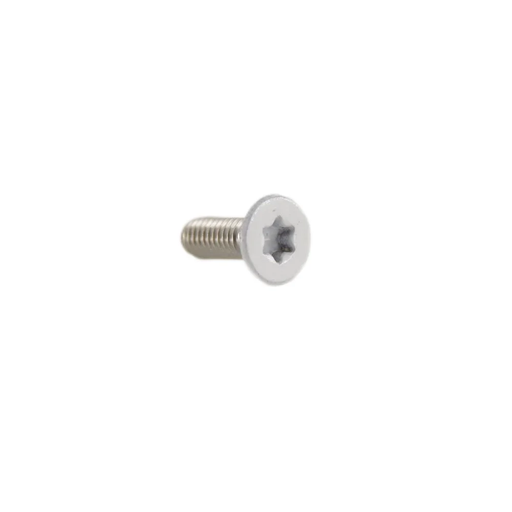 Six-Lobe Flat Head White Painting Screw Stainless Steel Hex Hidden Camera Wall Torx Screw Bolts manufacture