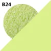 B24