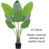 green Type B 120cm