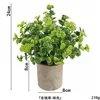 Money grass powder-free ahe370-069