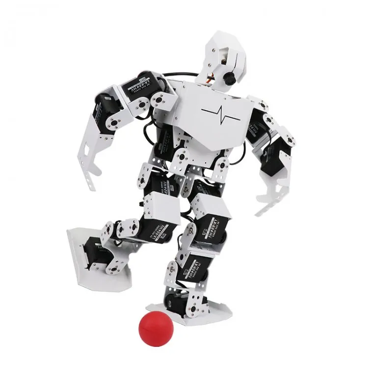 programmable robot raspberry pi