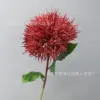 ดอกแดนดิไลอันเดี่ยว - สีแดงอิฐ