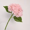 Rosa claro