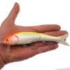 Blanco