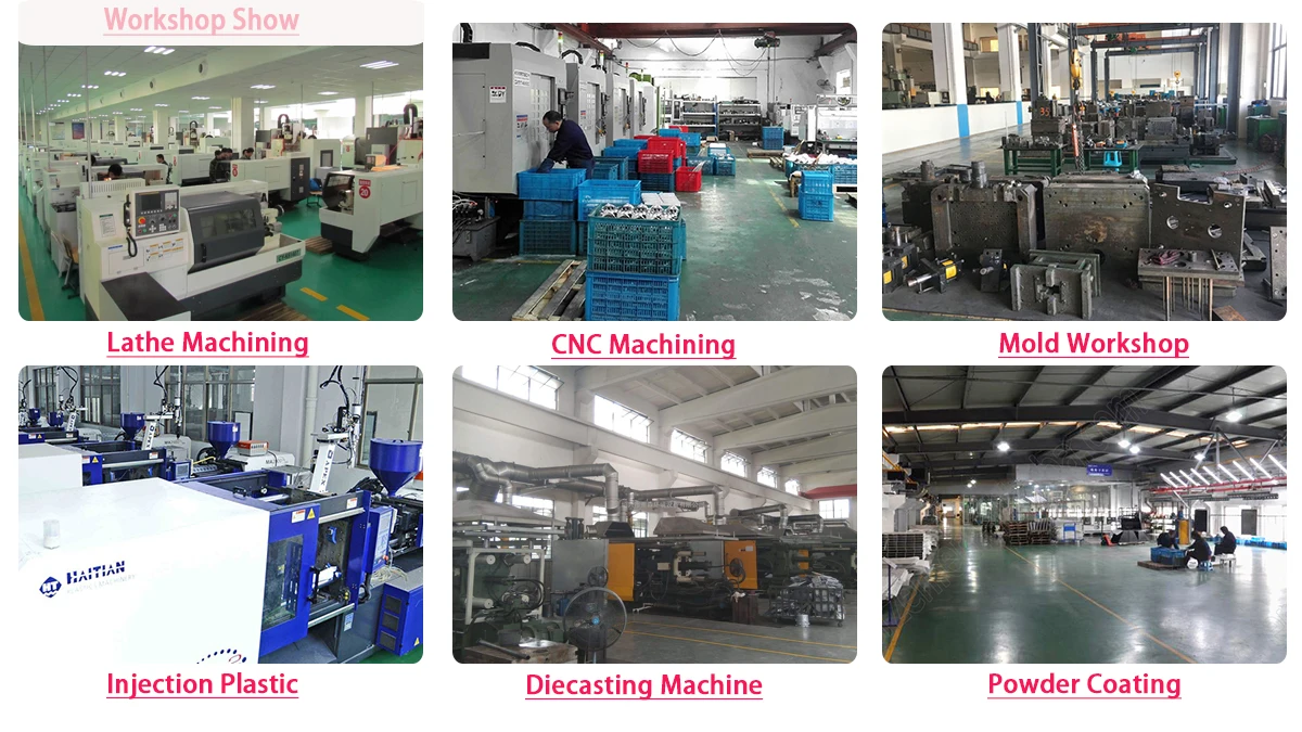 Ningbo Everzen Technology Co., Ltd. 2