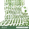 ใบแตงโม (12 ใบต่อแพ็ค)