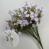 Viola chiaro