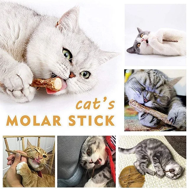 thumbnail image 2 of Buy Inralimot 1 Pack Silvervine Cat Toy, Silvervine Sticks Cat Toys For 2 of 11