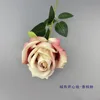 Velvet Open Core Rose Champagne Pink