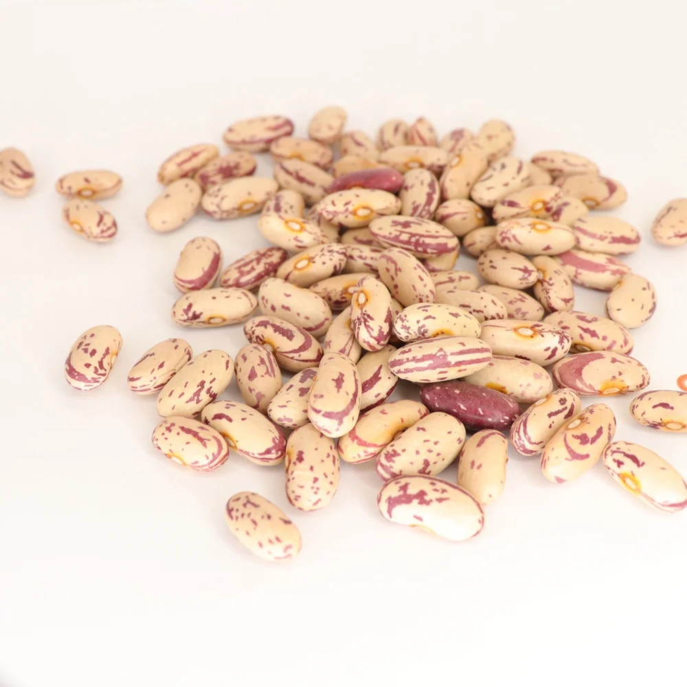 Factory Supplier IQF Bulk Green Beans Frozen Whole Green