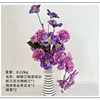 Combinación de fragancias de orquídeas Phalaenopsis