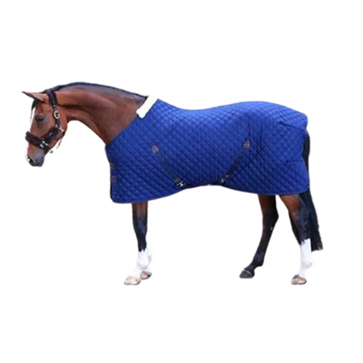 horseware rug (2).png