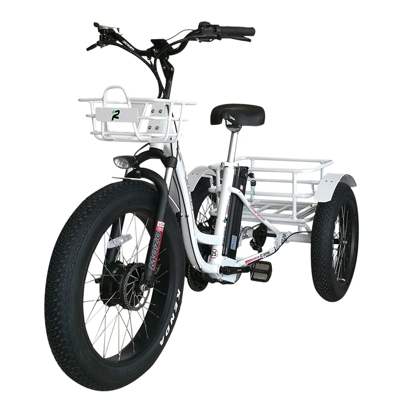 48v 750w Bafang motor electric cargo bike powerful electric tricycle for adult with three fat tire wheel tricycle