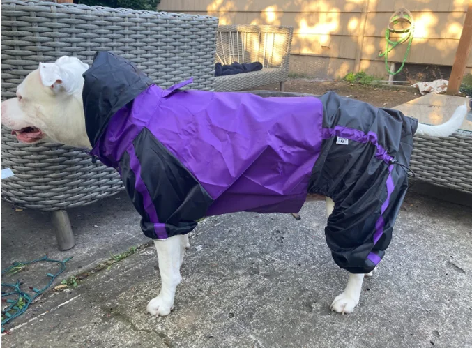 Pictures [9]-raincoat manufacturers dog rain coat - jinjiaraincoats-jinjiaraincoats