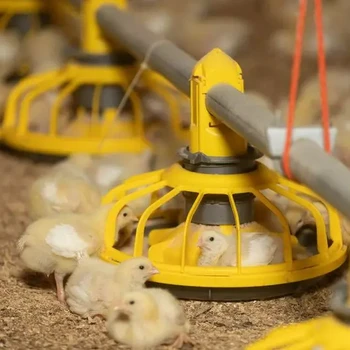 Automatic Animal Feeder Modern Poultry Farming Feeding System Chicken Floor Pan Feeding Equipment