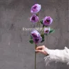 Gradient purple tea rose