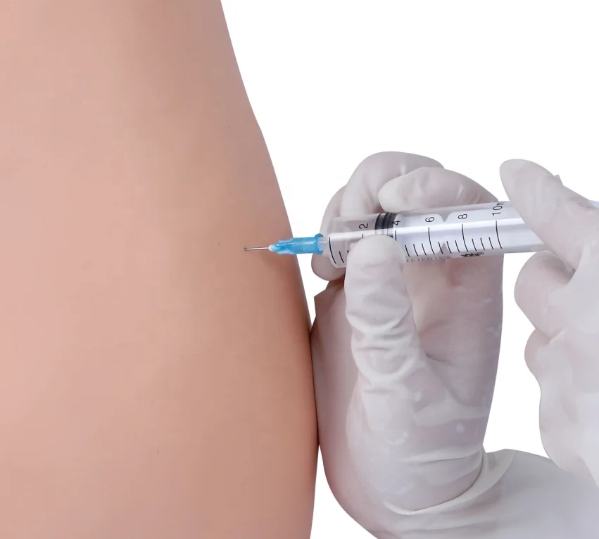 K Model Buttocks for Gluteal Intramuscular Injection and Comparison