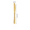 Dinner knife gold
