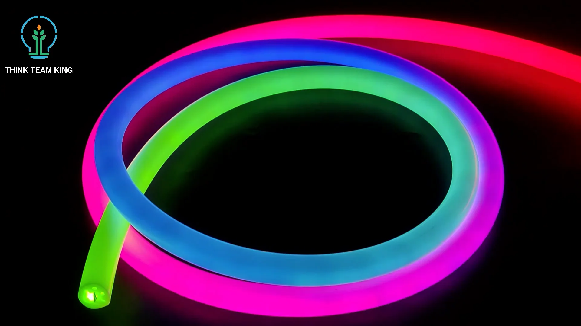 Dc12v 360degree Digital D25 Ws2811 Dream Color Addressable Flexible