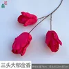 Tres grandes tulipanes ZL rosa roja