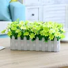30cm New Jumping Orchid Green