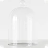 Transparent