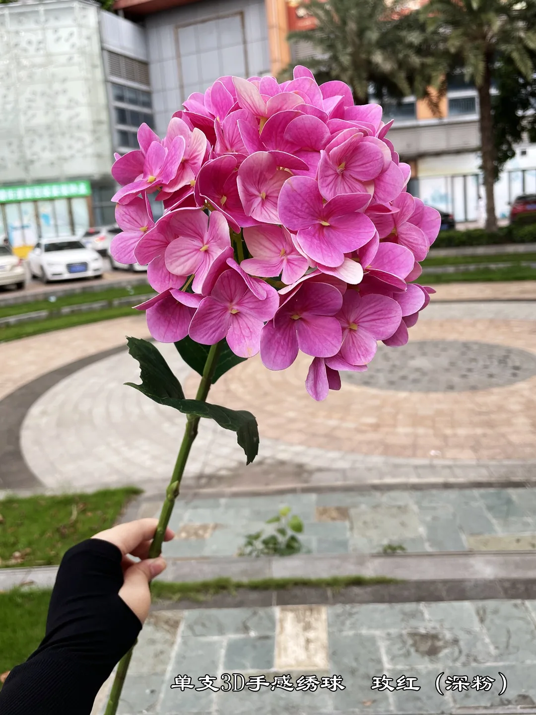 小仙女的花店－3支/5支鬱金香花束適合拍照（紅、粉、橘、黃、白、淺紫、深紫色）, image size:1080x1440