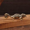 colorful hj lizard