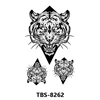 TBS8262