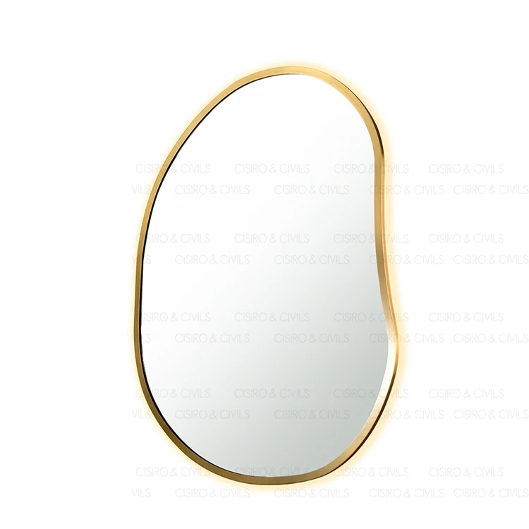 Wall Mirror Round Frame Bathroom Mirror Rose Gold Decorative Round