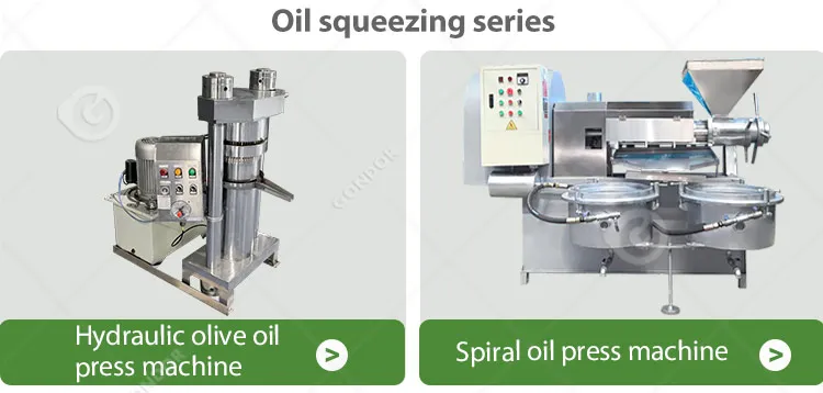 Cooking Extractor Coocking Make Olive Extruder Baobab Chilli Seed Extraction Sacha Inchi Oil Press Machine