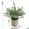 Austrocycad powder ahe369-066