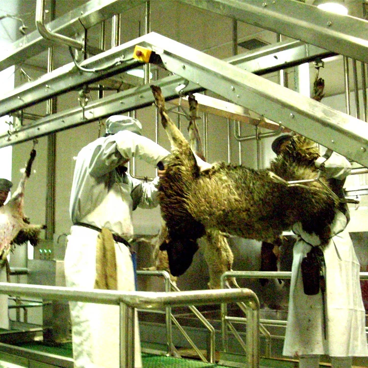 Sheep slaughtering line halal goat slaughtering factory