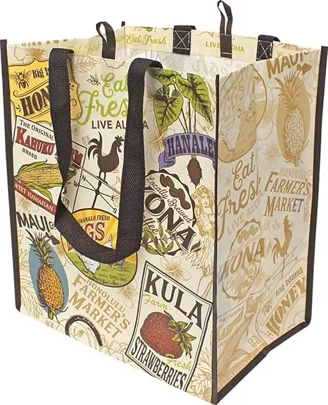 Foldable Reusable Bag for Grocery Groceries Promotion Eco-friendly Non Woven Design Shop Shopping Bag Grocery Bag Plain Foldable factory