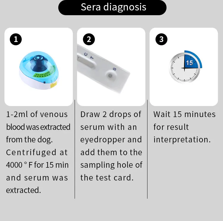 Ydv11 Canine And Feline Pregnancy Test Kit Canine Veterinary Early
