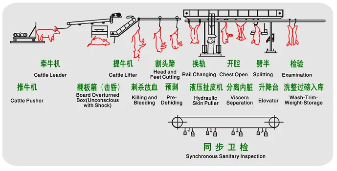 Slaughterhouse design 50-100 cow slaughterhouse meat processing equipment