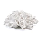 Coral Coral Fashionable Creative Living Room Decor White Artificial Coral Decor Resin Ornaments Crafts