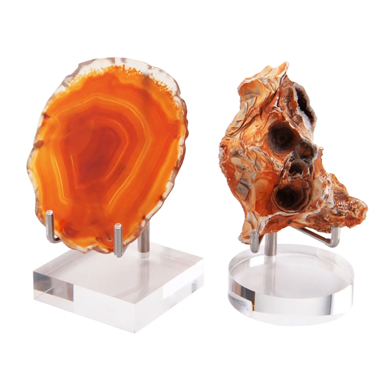 Supporto Espositore Acrilico Con Braccio In Ottone Per Minerali, Rocce, Fossili E Agate - 3 Dimensioni